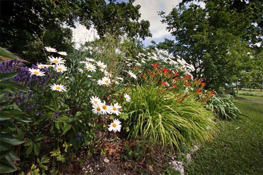 La Belle Saison Bed & Breakfast Mollens  Luaran gambar